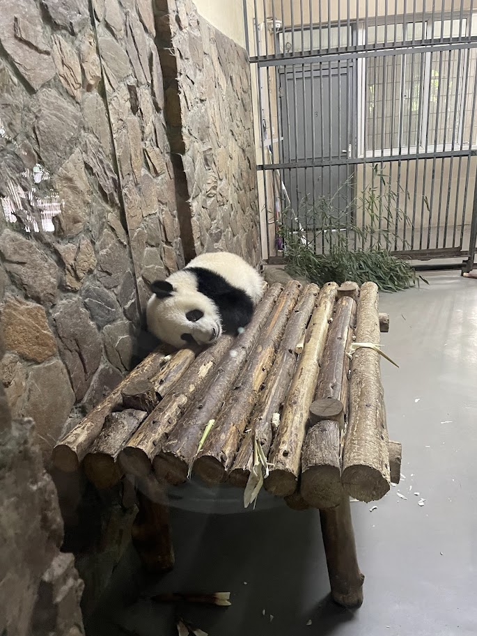 Guide to the Giant Panda Breeding Research Base