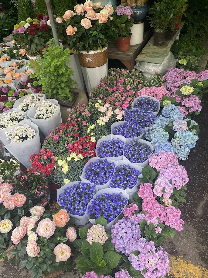 Exploring Kunming’s Jingxing Bird and Flower Market