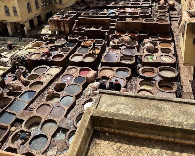 Top Experiences in Fez: Walking Tours and Traditional Tanning